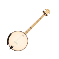 Ashbury AB-25T Open Back Tenor Banjo 