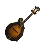 Ashbury AM-310 F style Mandolin Sunburst 