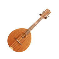 Ashbury AM-110 Flatback Mandolin