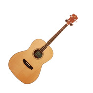 Ashbury Solid Top Tenor Guitar 