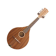 Ashbury AM-130 All Solid Mandolin