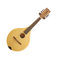 Ashbury AM180 Maple Back Mandolin