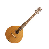 Ashbury Style E Cittern B-Grade
