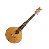 Ashbury E Style Cittern