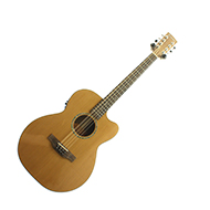 Ashbury Guitar Shaped Electro Octave Mandola