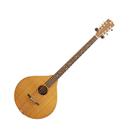 Ashbury Style E Irish Bouzouki