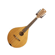 Ashbury E Style Solid Mandolin