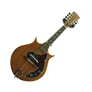 Ashbury Solid Body Electric Mandolin