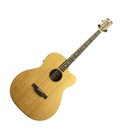 Ashbury Style E Gouzouki Guitar Bouzouki