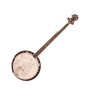 B&M BJ300 5 String Banjo