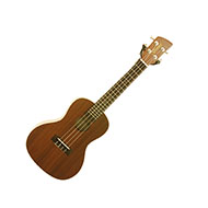 Brunswick BU4C Concert