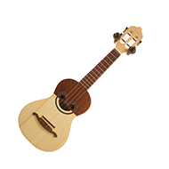 Carvalho Cavaquinho 