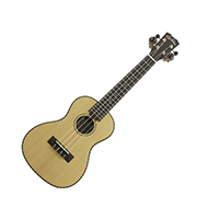 Cordoba 21C Concert Ukulele