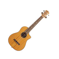 Cordoba 30T-CE All Solid Mahogany