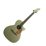 Fender Fender Newporter Player Champagne