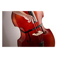 Headway The Band Double Bass Pickup