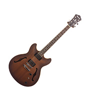 Ibanez AS53 TF