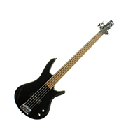 Ibanez GSR105 5-String Black