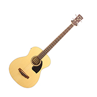 Ibanez PCBE12 Acoustic Bass Spruce