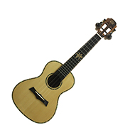 Snail BHC5C Spruce Concert