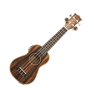 Snail SE-220EQ Ebony Soprano Electro