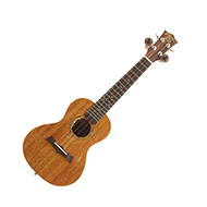 Snail SUC-M2 Electro Concert