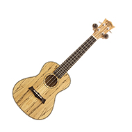 Snail C-490E Spalted Maple Concert