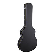 TGI Hardcase 335 Hollowbody