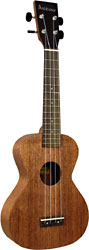 Ashbury AU-50C Concert Ukulele, Solid Sapele