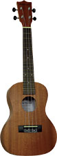 Ashbury AU-15C Concert Ukulele