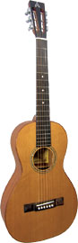 Ashbury AG-45 Solid Cedar Top Parlour