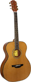 Ashbury AG-43 Solid Cedar Top 000 Size